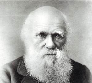 Darwin2