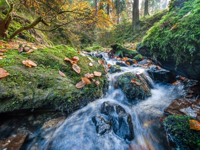 Silberbachtal # 16 - Bach, Herbstlaub und bemooste Felsen - Creek, autumn foliage, and mossy rocks